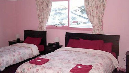 Snow Bunny - Lismore Accommodation 2