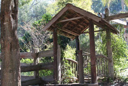 Bass Lodge - Lismore Accommodation 4