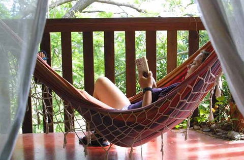 Bellingen YHA - Lismore Accommodation 1