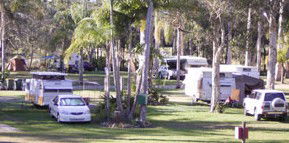 Brigadoon Holiday Park - Lismore Accommodation 2