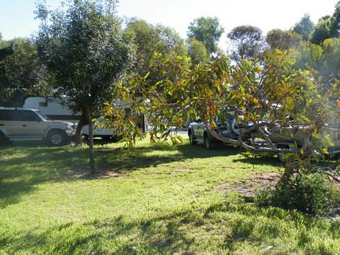 Kyalite Caravan Park - Lismore Accommodation 3