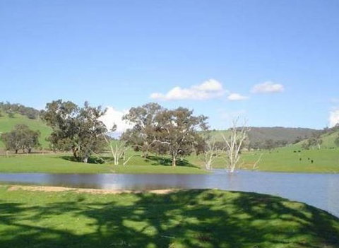 Hillview Farmstay - Lismore Accommodation 0