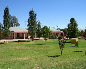 Narrandera Caravan Park - Lismore Accommodation 0