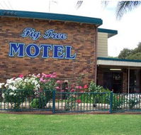 Fig Tree Motel - Lismore Accommodation