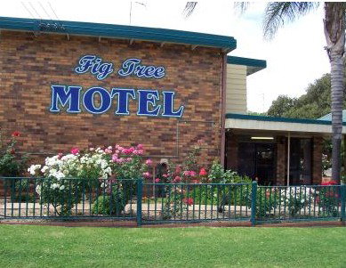 Fig Tree Motel - Lismore Accommodation 0
