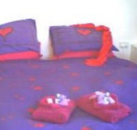 Aloomba Lavender - Accommodation - Lismore Accommodation