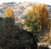 Birches Bed and Breakfast at Nundle - Lismore Accommodation