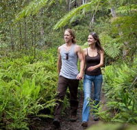 Blackheath Glen Tourist Park - Lismore Accommodation