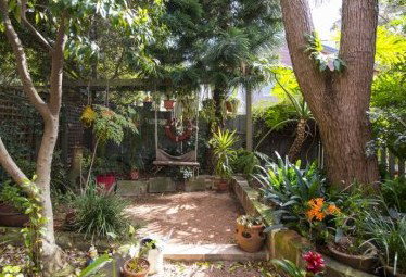 An Oasis In The City - Lismore Accommodation 1