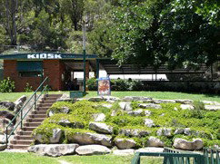 Carinya Ski Ranch - Lismore Accommodation 4