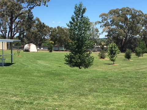 Canobolas Caravan Park - Lismore Accommodation 3