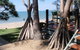 Beachfront Zilzie Holiday Home And Cottage - thumb 4