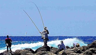 Fraser Island Fishing Units - Lismore Accommodation 3