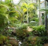 Chamomile Bed and Breakfast - Lismore Accommodation
