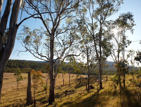 Spicers Canopy - Lismore Accommodation 4