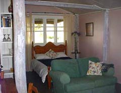 Bunnyconnellen Olive Grove And Vineyard - Lismore Accommodation 0