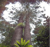 Moorlands Country Retreat - Lismore Accommodation