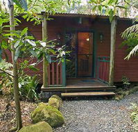 Springbrook Lyrebird Retreat - Lismore Accommodation