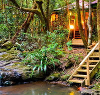 The Mouses House - Rainforest Retreat - Lismore Accommodation
