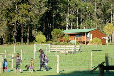 Diamond Forest Farm Stay - Lismore Accommodation 0