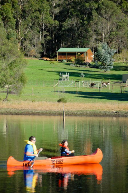 Diamond Forest Farm Stay - Lismore Accommodation 2
