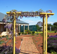 Lavendale Farmstay and Cottages - Lismore Accommodation