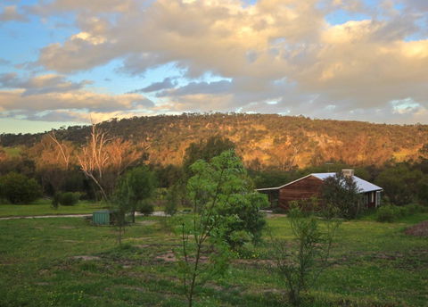 Lavendale Farmstay And Cottages - Lismore Accommodation 4