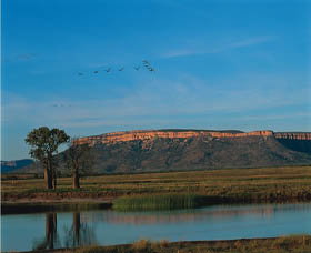 El Questro Homestead - Lismore Accommodation 0