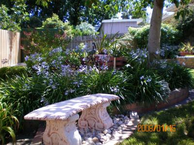 Austin Rise Bed And Breakfast - Lismore Accommodation 4