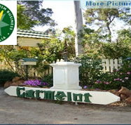 Carmelot Bed  Breakfast - Lismore Accommodation