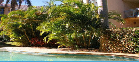 Golden Sea Apartments - Lismore Accommodation 4