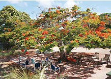 Barnacles Backpackers - Lismore Accommodation 1