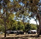 Barracrab Caravan Park - Lismore Accommodation