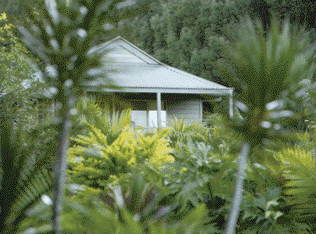 Coorabell NSW Lismore Accommodation