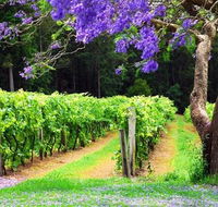 Bago Vineyards - Lismore Accommodation