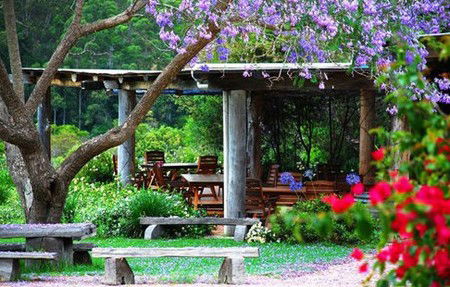 Bago Vineyards - Lismore Accommodation 1