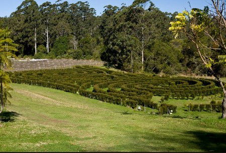 Bago Vineyards - Lismore Accommodation 2