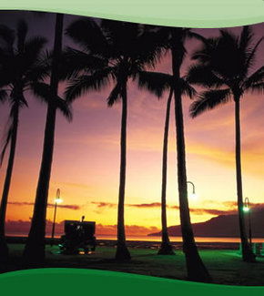 Bay Village Tropical Retreat, Cairns - Lismore Accommodation 1