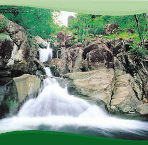 Bay Village Tropical Retreat, Cairns - Lismore Accommodation 2