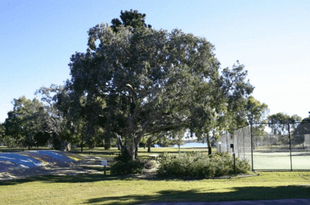Coolwaters Holiday Village - Lismore Accommodation 5