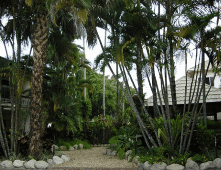 High Chaparral Motel And Apartments - Lismore Accommodation 1