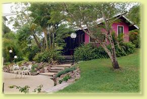Jacaranda Cottage - Lismore Accommodation 2