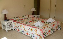 Shaws On The Shore - Lismore Accommodation 3