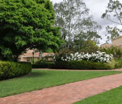 Barossa Weintal Hotel Motel - Lismore Accommodation 2