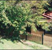 Apple Tree Cottage - Lismore Accommodation