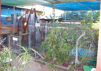 Safari Lodge Motel - Lismore Accommodation 1