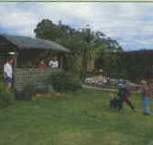 Tambo Lodge - Lismore Accommodation