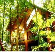 The Canopy Treehouses - Lismore Accommodation