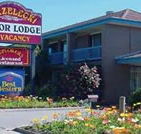 Strzelecki Motor Lodge - Lismore Accommodation