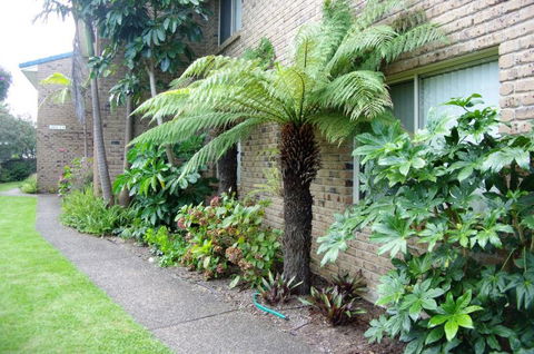 Beachfront Units Merimbula - Lismore Accommodation 3